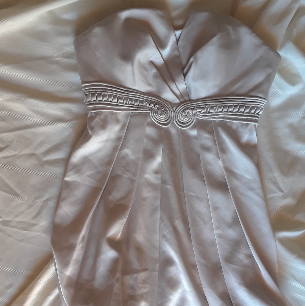 BCBG cocktail or prom tube dress
